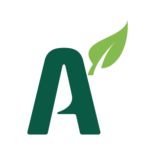 Active Borium 15 vloeibaar